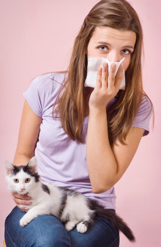 Most ionizers cannot remove many common allergens, including pet dander.